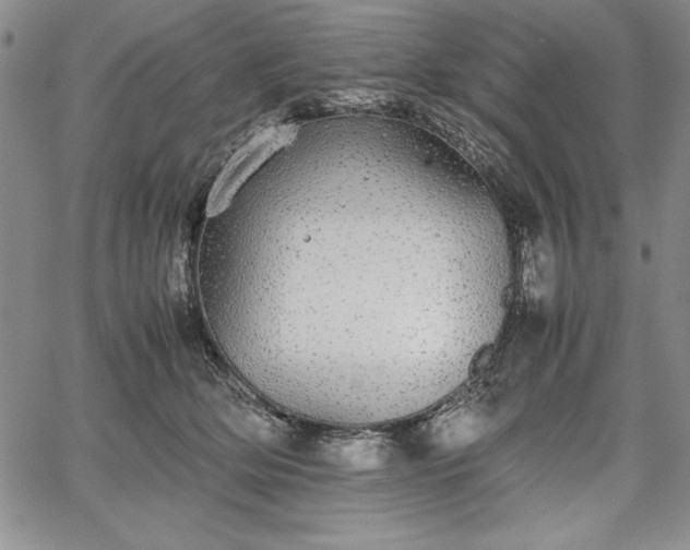 X0000067870514200604201221