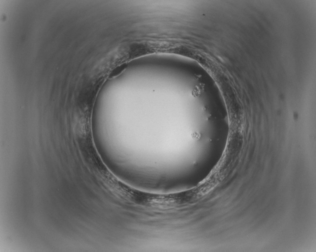 X0000067870515200604201221