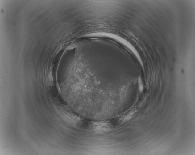 X0000067870516200604201221