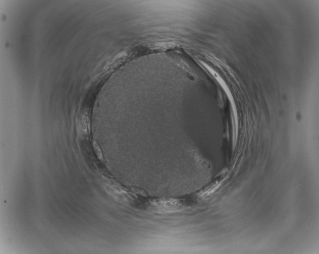 X0000067870517200604201221