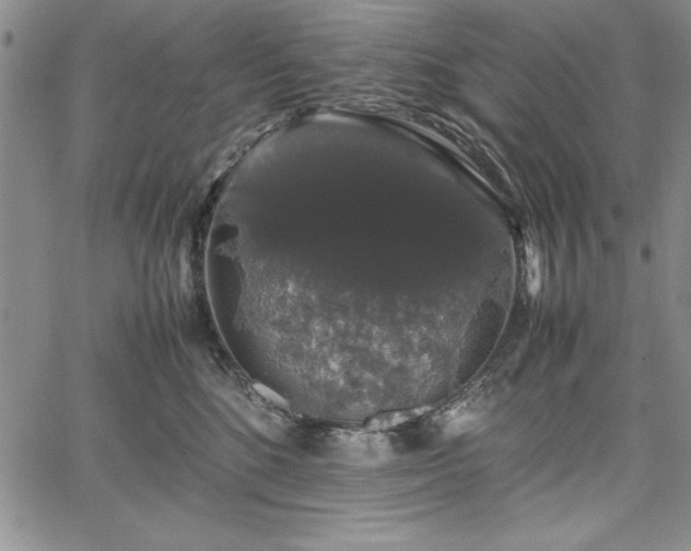 X0000067870520200604201221