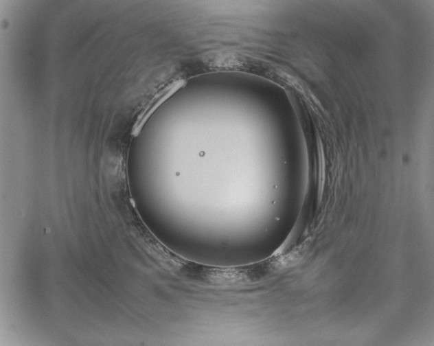 X0000067870521200604201221