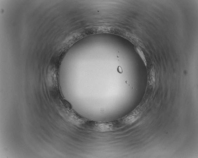 X0000067870522200604201221