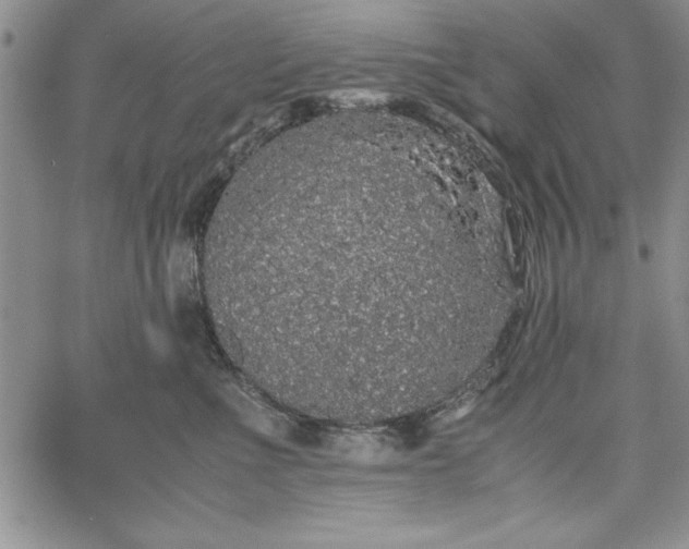 X0000067870523200604201221