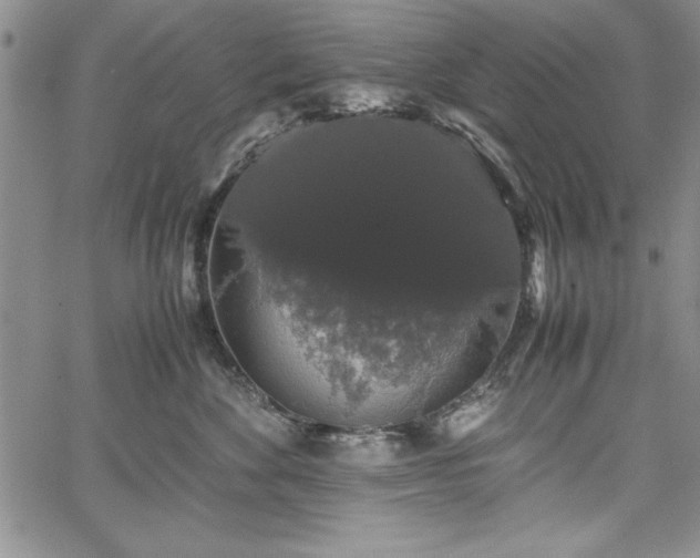 X0000067870524200604201221