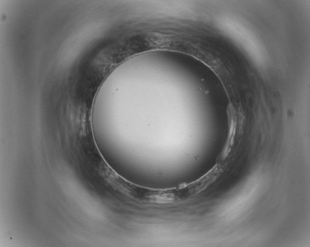 X0000067870525200604201221