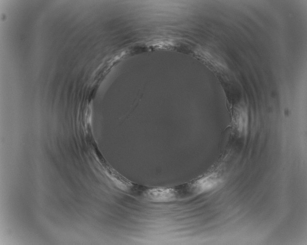 X0000067870526200604201221