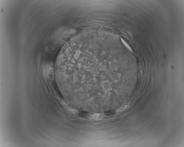 X0000067870527200604201221