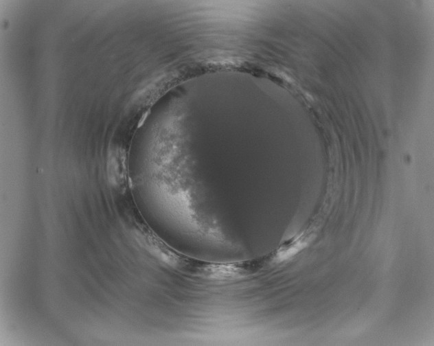 X0000067870528200604201221