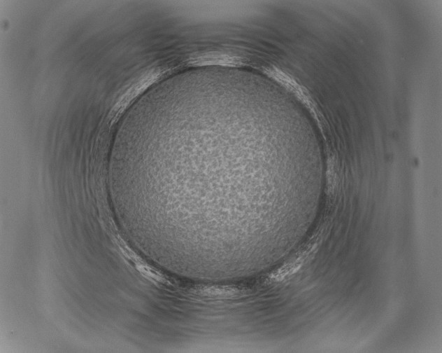 X0000067870529200604201220