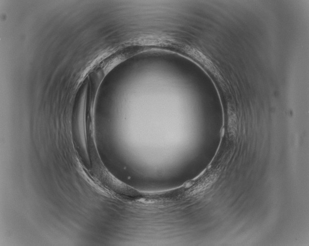 X0000067870530200604201220