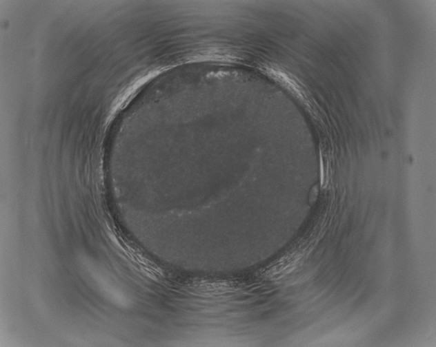 X0000067870531200604201220