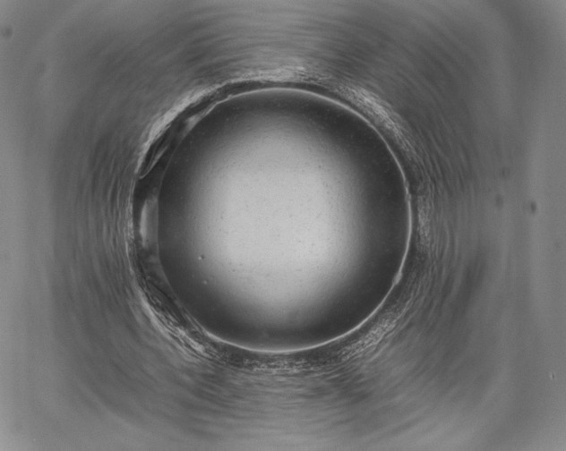 X0000067870532200604201220