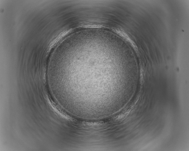 X0000067870533200604201220