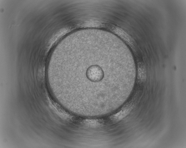 X0000067870534200604201220