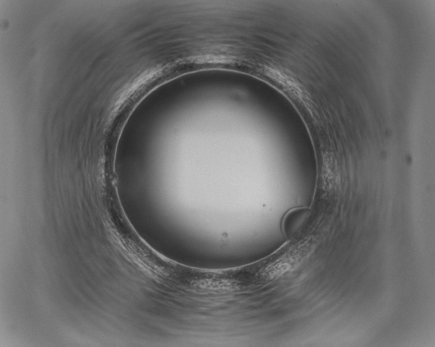 X0000067870535200604201220