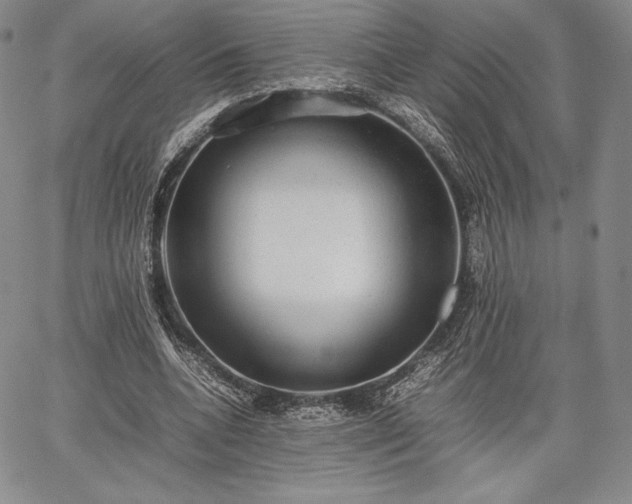 X0000067870536200604201220