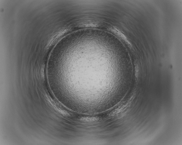 X0000067870537200604201220