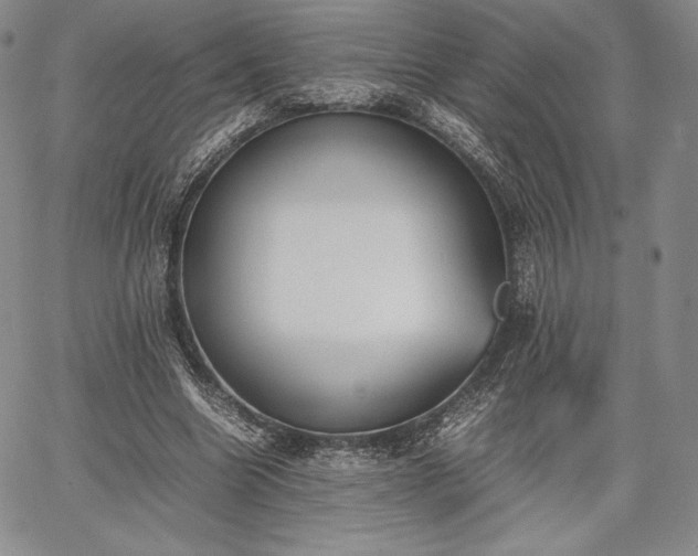 X0000067870538200604201220