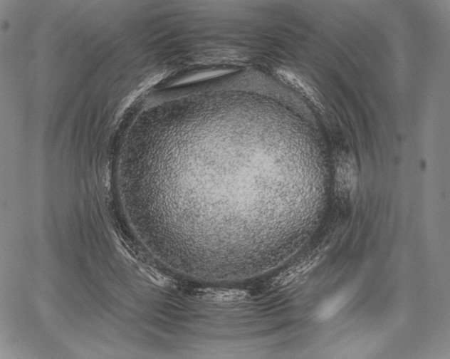 X0000067870539200604201220