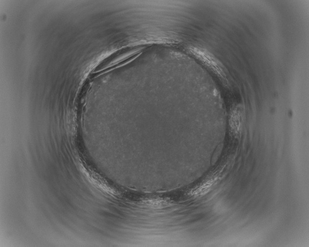 X0000067870540200604201220