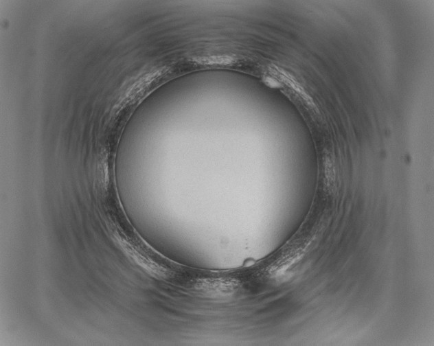 X0000067870541200604201220