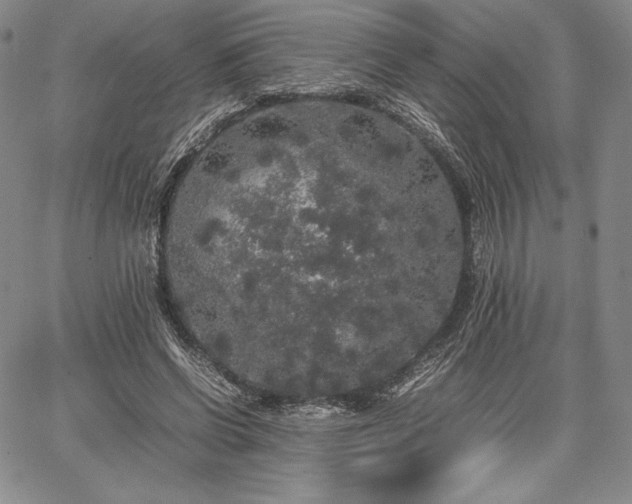 X0000067870542200604201220