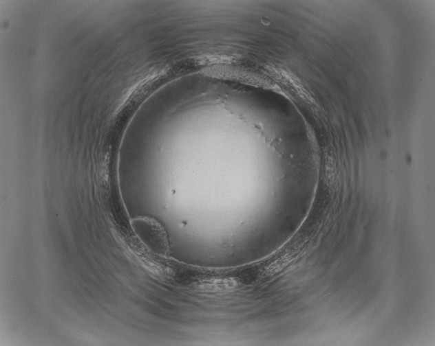 X0000067870543200604201220