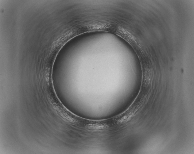 X0000067870545200604201220