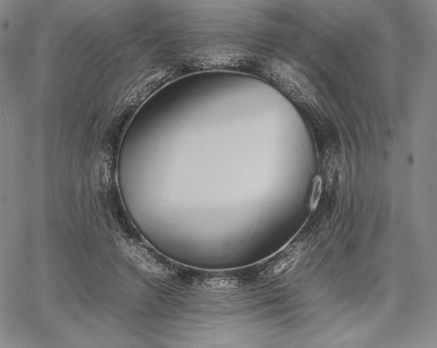 X0000067870546200604201220