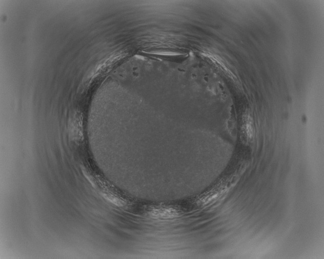 X0000067870547200604201220