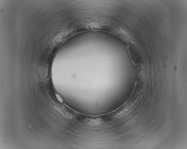 X0000067870548200604201220