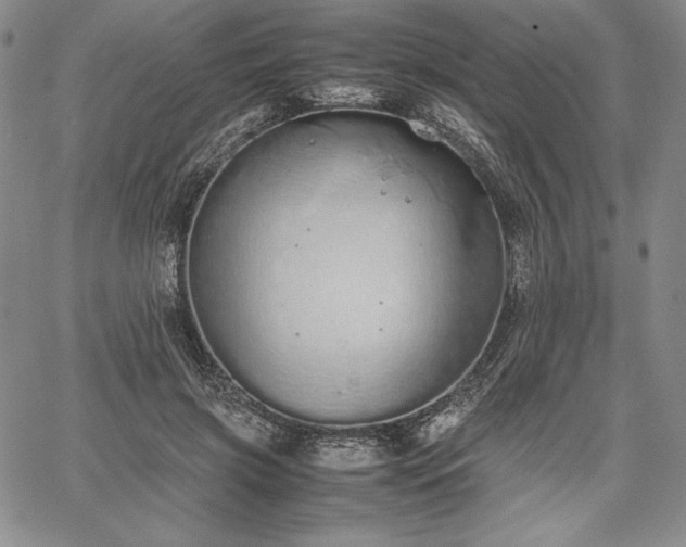 X0000067870549200604201220