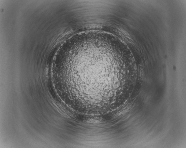 X0000067870550200604201220