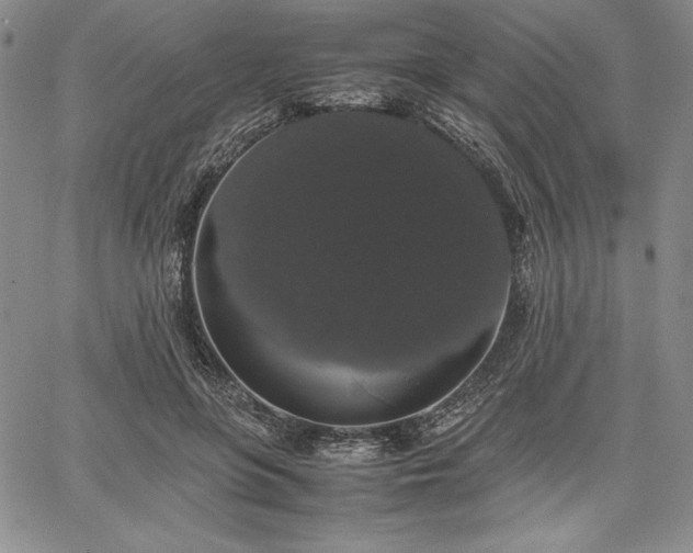 X0000067870551200604201220