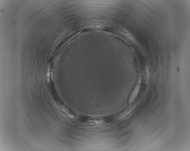 X0000067870552200604201221