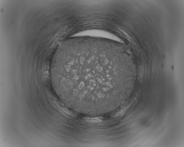 X0000067870553200604201221