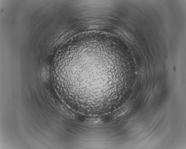 X0000067870554200604201221