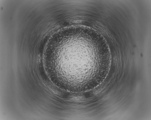 X0000067870555200604201221