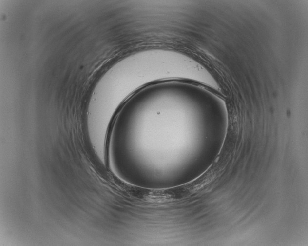 X0000067870556200604201221