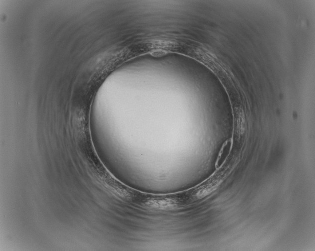 X0000067870557200604201221