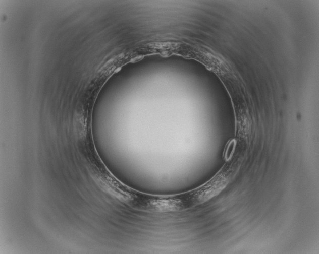 X0000067870558200604201221