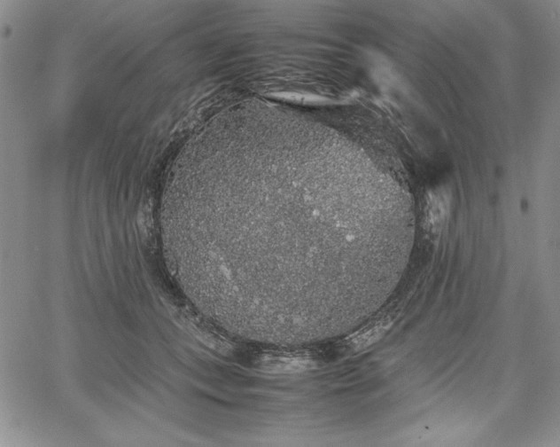 X0000067870559200604201221