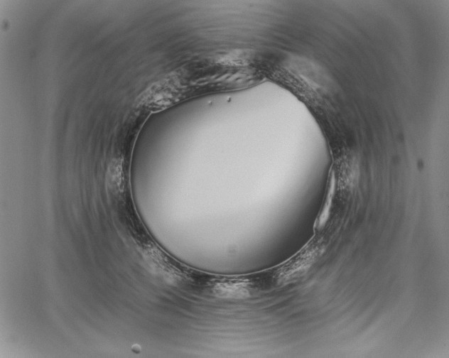 X0000067870560200604201221