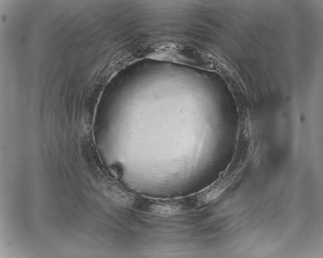 X0000067870561200604201221