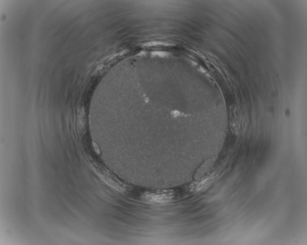 X0000067870563200604201221