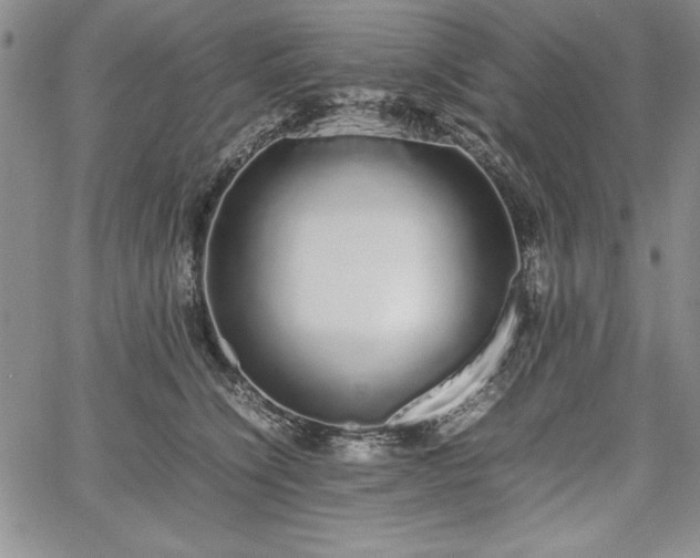 X0000067870564200604201221