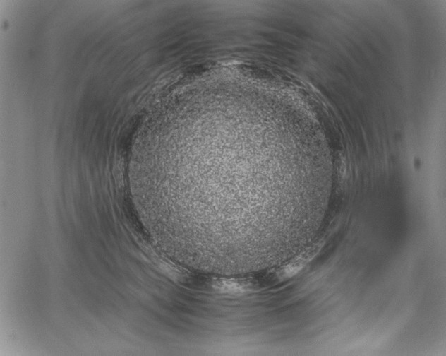 X0000067870565200604201221