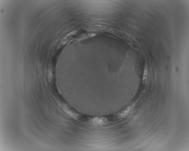 X0000067870566200604201221