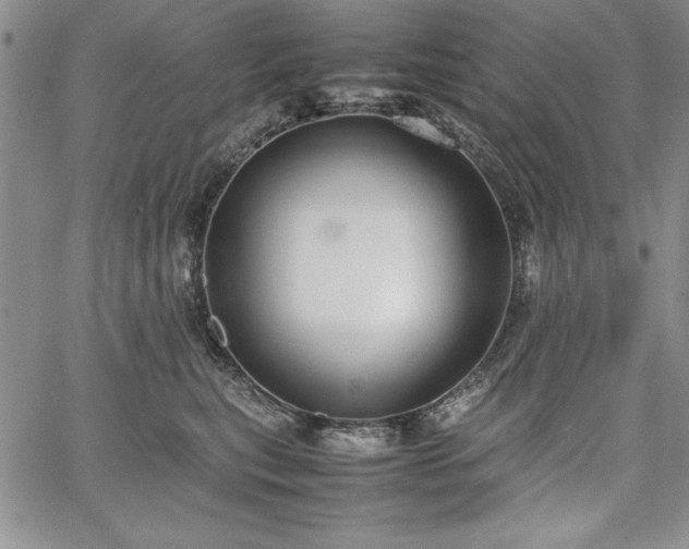 X0000067870567200604201221